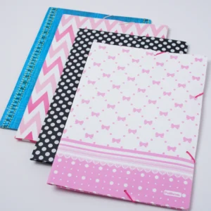 Folder Liga Liso/Diseno/colores