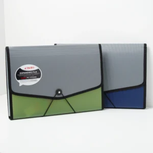 Folder Acordeon Oficio 13 Div